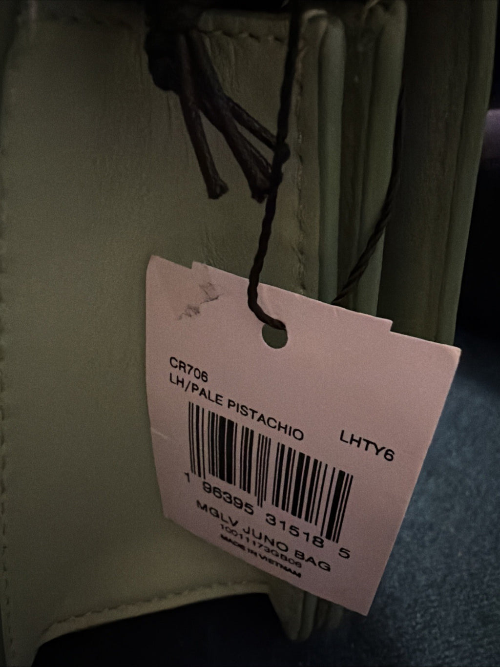 Coach Juno Bag in Pale Pistachio Glovetanned Leather BNWT CR706