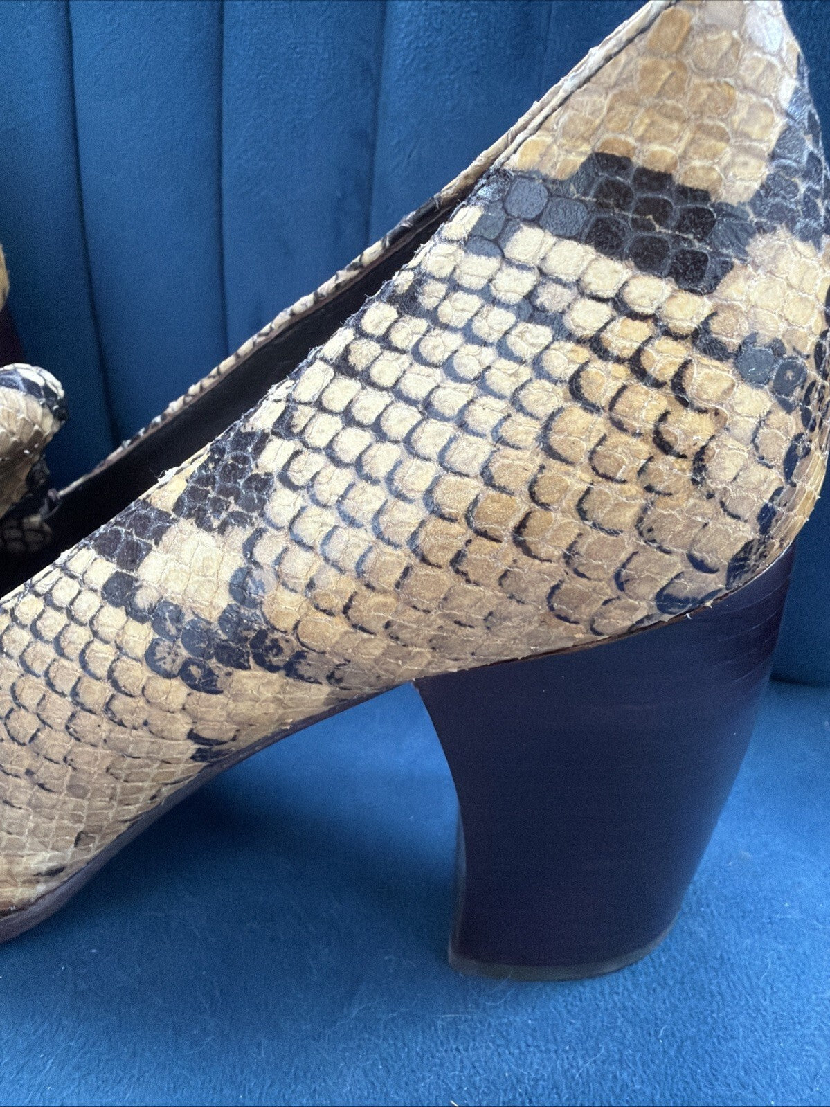 Tory Burch Buckle Heel Loafer In Stamped Snake Printed Leather Uk 3 BN