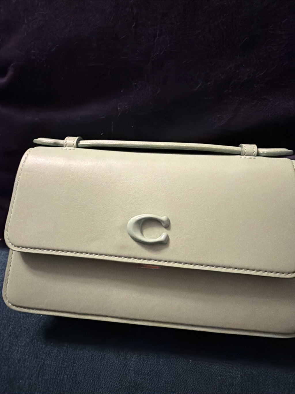 Coach Juno Bag in Pale Pistachio Glovetanned Leather BNWT CR706