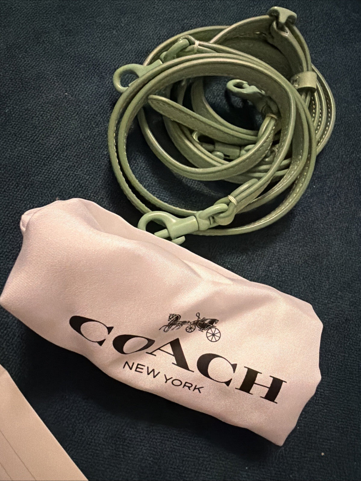 Coach Juno Bag in Pale Pistachio Glovetanned Leather BNWT CR706