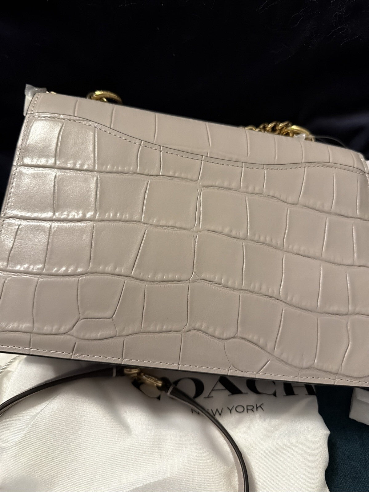 Coach Klare Crossbody Bag CC840 Crocodile Leather Grey Birch BNWT