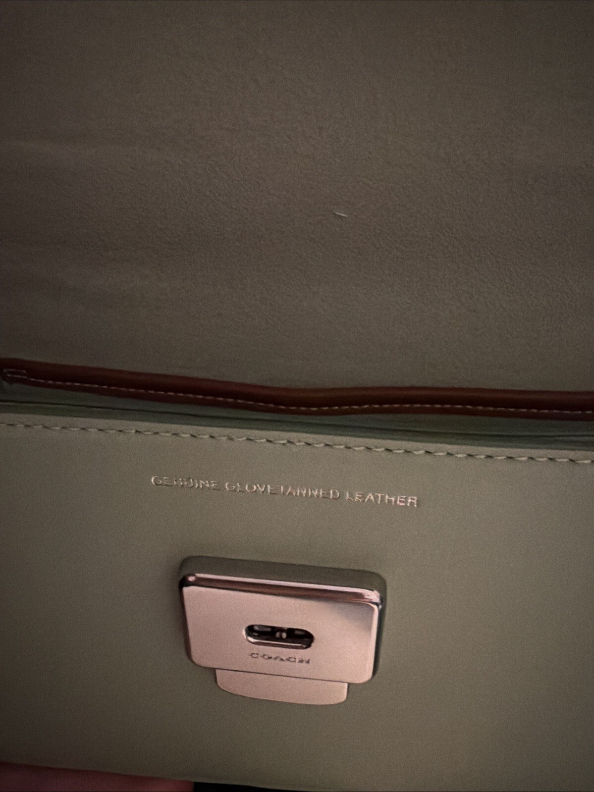 Coach Juno Bag in Pale Pistachio Glovetanned Leather BNWT CR706