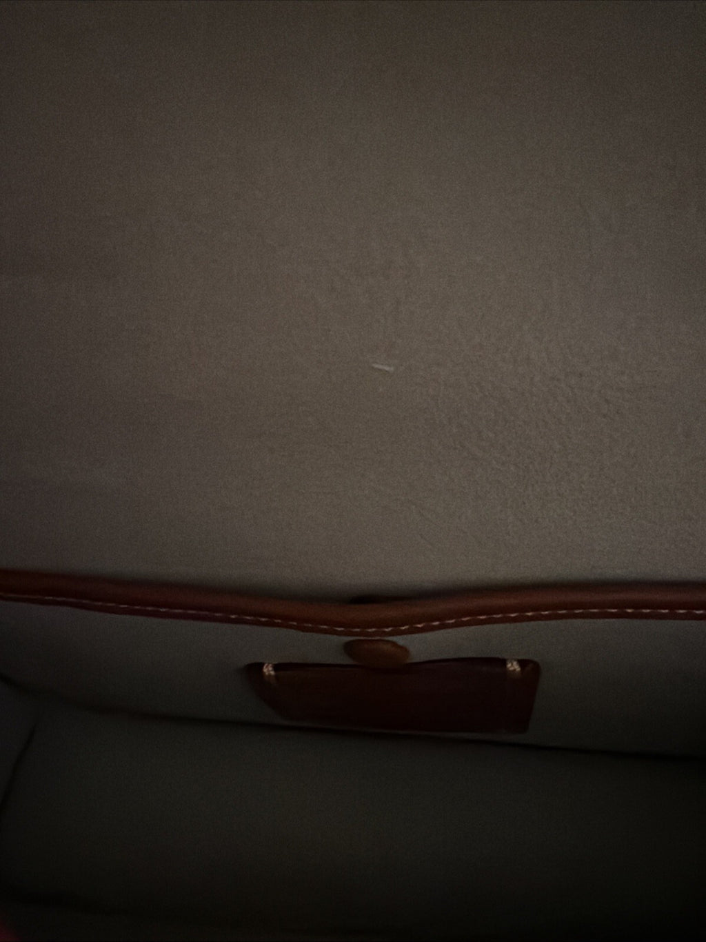 Coach Juno Bag in Pale Pistachio Glovetanned Leather BNWT CR706