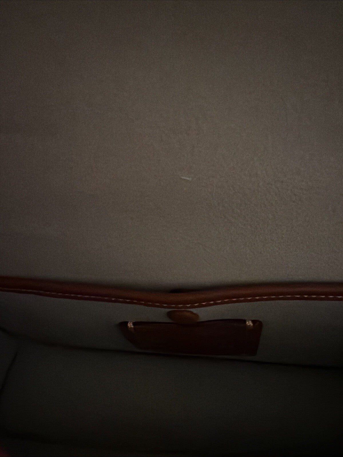 Coach Juno Bag in Pale Pistachio Glovetanned Leather BNWT CR706