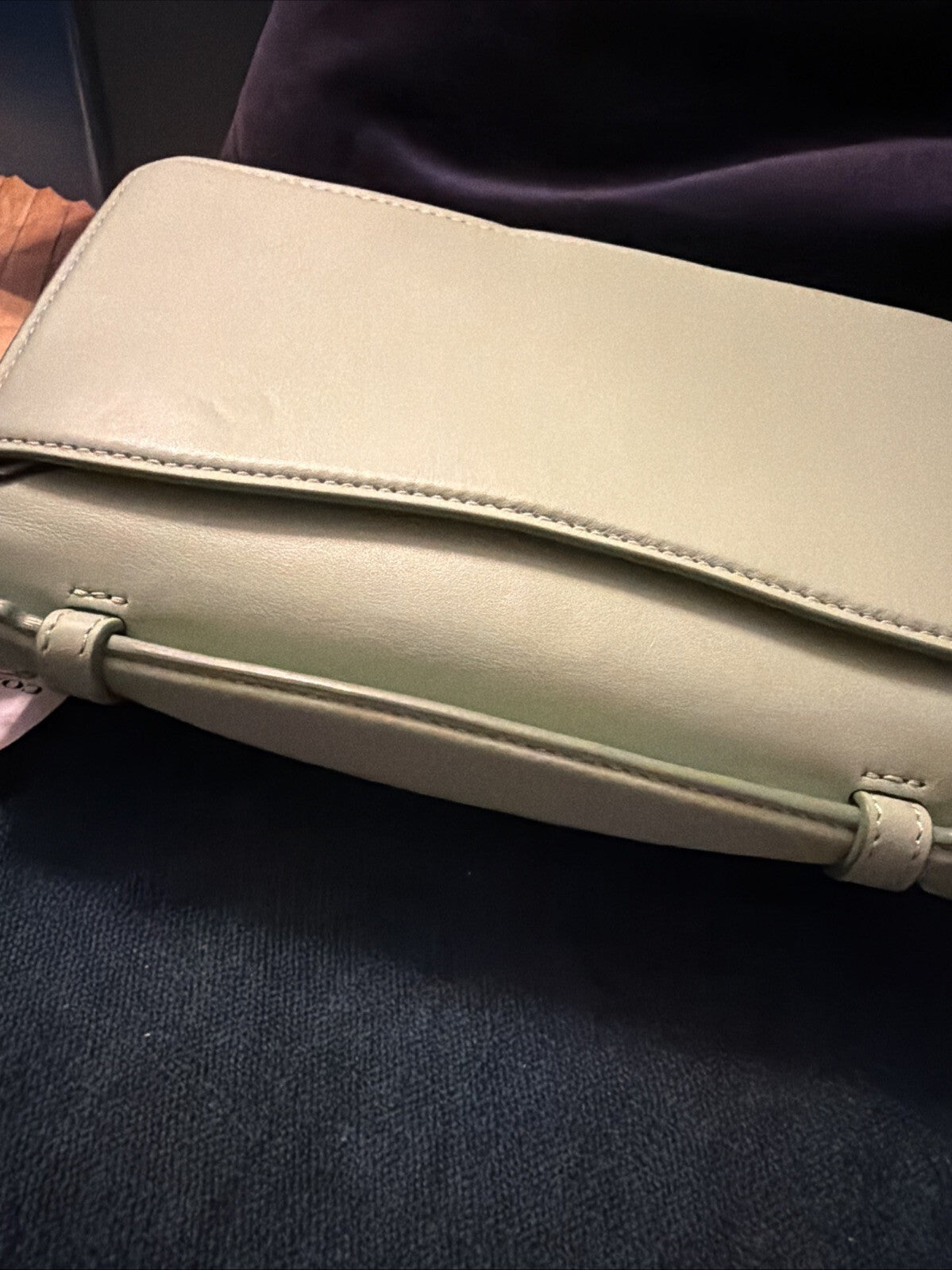 Coach Juno Bag in Pale Pistachio Glovetanned Leather BNWT CR706